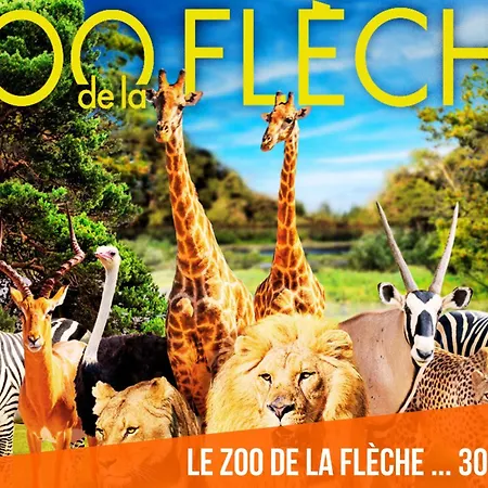 Sweet & - Centre-ville & Proche Circuit Des 24h - Climatise - Parking - By *