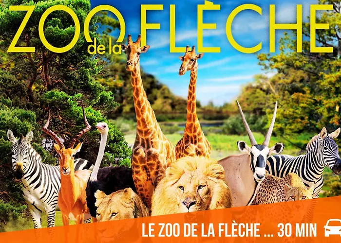 Sweet & - Centre-ville & Proche Circuit Des 24h - Climatise - Parking - By *